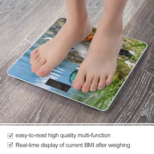 Báscula digital Mallard Duck para cuerpo, 180 kg capacidad miniatura 5