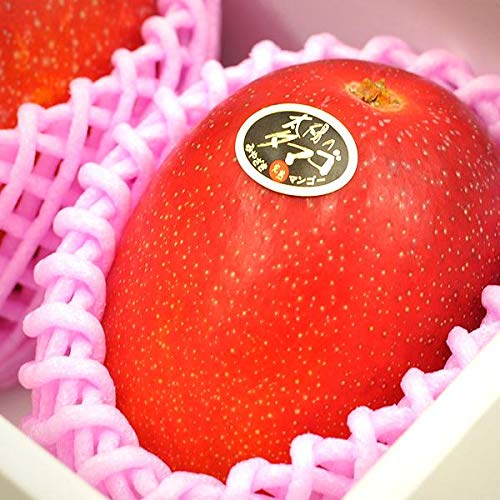 �y�{�茧�Y�z���z�̃^�}�S�@2�k�`3L�T�C�Y�@1��