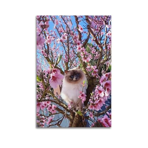 Poster chat et fleur sur toile pour créer une ambiance zen dans votre chambre