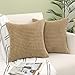 Woaboy Funda de Cojines de Pana Granulada Grande Sólida Funda de Almohada Cuadrado Suave Decoración Moderna para Sofá Silla Habitación Cama Salón 2 Piezas Marrón 40x40 cm