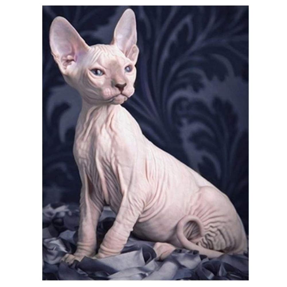 Aphila 5D Diamond Painting Kits for Adults and Beginner Full Drill Round Resin Rhinestone Diamond Embroidery Cross Stitch Arts Craft Supply Home Decor Gift 10x12inches,Animal Sphynx cat