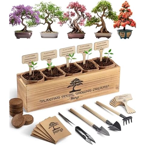 Avergo Bonsai Tree Kit – 5X Unique Japanese Bonzai Trees | Complete Indoor Bonsai Starter Kit for Growing Bonsai Plants with Tools & Planters – Gardening Gifts for Women & Men Cover