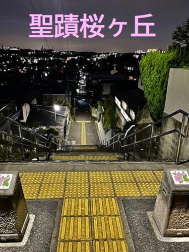 日本の街角写真集 聖蹟桜ヶ丘