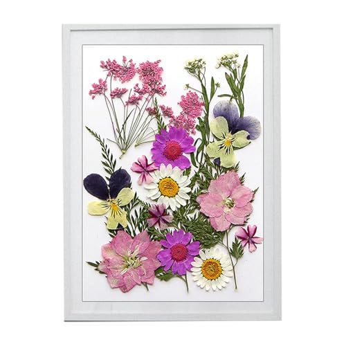 Flores Secas Prensadas Naturales para Resina Epoxi Set miniatura 5