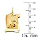 PRECIOUS STARS Genuine 14k Yellow Gold 0.59