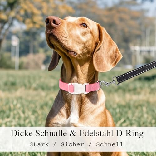 Hundehalsband mit Namen Telefonnummer - Halsband Hund Personalisiert, Bequeme, Einzigartige Halsbänder, Geeignet für Kleine, Mittelgroße und Große Hunde und Katzen(S,Braun)