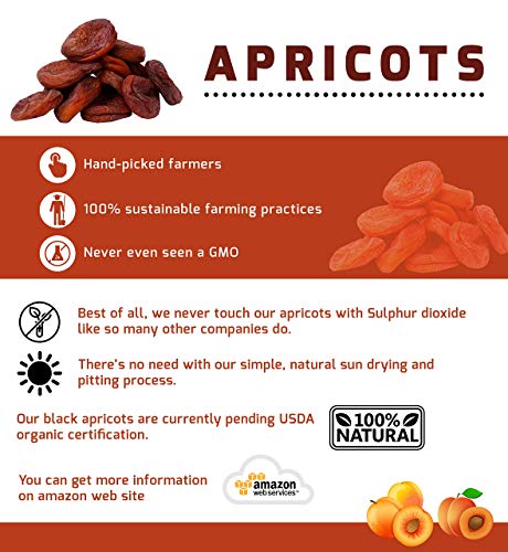 Black Arashan Apricots –The MOST Exquisite Unsulfured Dried Natural Apricots From The Ferghana Valley In Kyrgyzstan–Dried Apricots Non-GMO| Black Apricots Dried–Unsulfured,Pitted, No Sugar Added (1lb) - Thumbnail 5