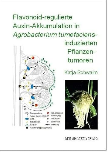 Flavonoid-regulierte Auxin-Akkumulation in Agrobacterium tumefaciens-induzierten Pflanzentumoren