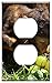 Switch Plate Outlet Cover - Ape Baby Monkey Grapes Curious Barbary Ape 2