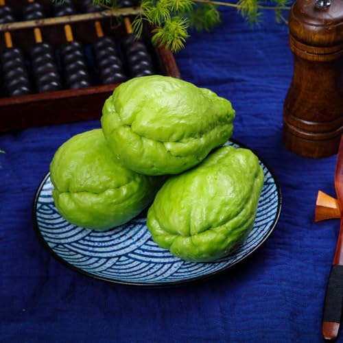 semillas de chayote resistentes semillas 35pcs