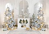 Multiusos: ideal para fotografía temática de Navidad, decoración de Navidad de invierno, fondo de regalos, fondo de fotografía de retratos de bebés o niños.