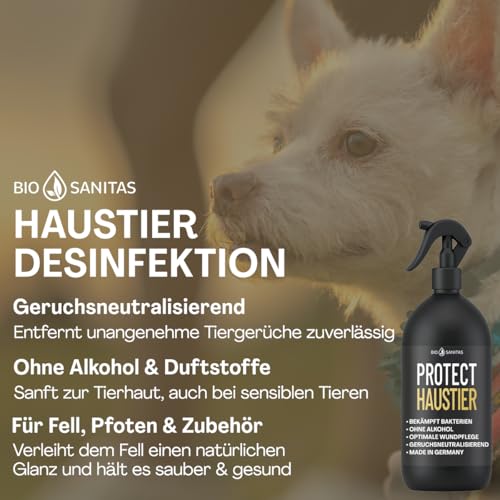 BIO SANITAS PROTECT Haustier Desinfektionsspray, 500 ml Hunde Desinfektion alkoholfrei für Katzen und Hunde, Desinfektionsmittel für Näpfe, Spielzeug, Transportboxen u.v.m., Geruchsneutralisierend