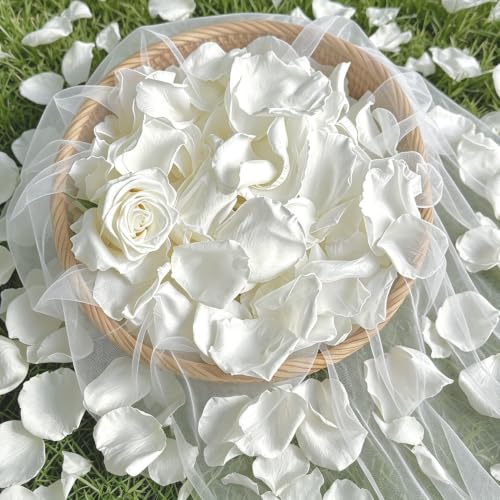 800+PCS Real White Rose Petals for Wedding, Dried Preserved Flower Petals
