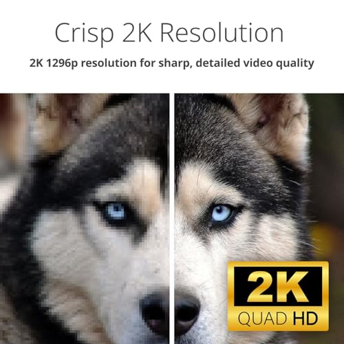 D-Link DCS-6501LH thumbnail 2