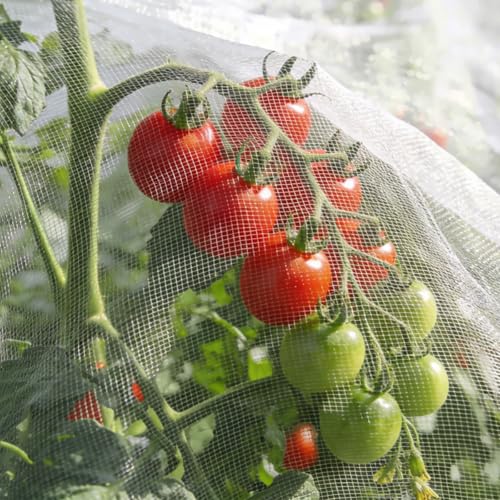 Filet Anti-Insectes, 1.2 x 3m Filet de Protection Anti-Insectes en Maille Fine, Filets Anti Insecte Potager, Protection Plantes Contre Insectes per Jardins,...
