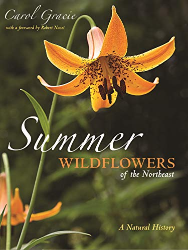 Summer Wildflowers of the Northeast: A Natural History (English Edition)