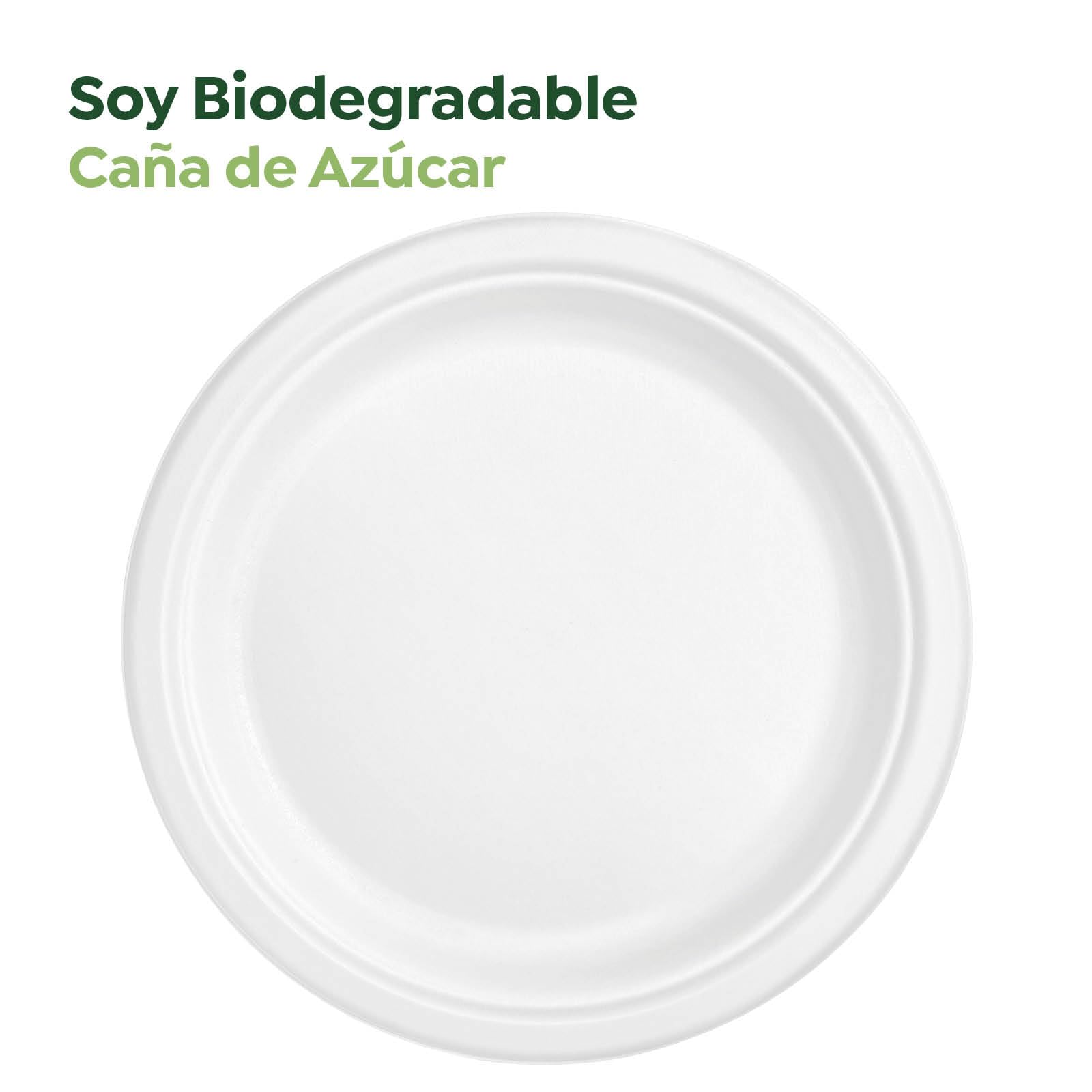 Horeca Collection MAXI PRODUCTS - 250 pezzi - Piatti Canna da Zucchero - Piatto piano rotondo - Piatto Compostabile - Piatto riciclabile - 26 cm - Resistenza termica
