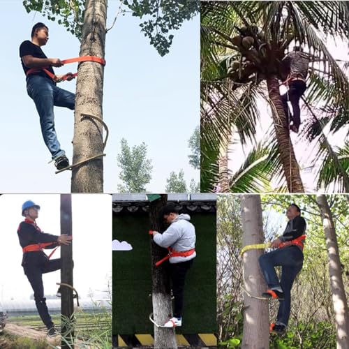 Heavy Duty Tree Climbing Spikes Dla Dorosłych Z Regulowanymi Paskami Do Stóp I Podkładkami Przeciwślizgowymi Secure Grip Electrician Pole Pegs Safe Practice Gear