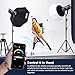 Godox SL150IIIBi Bi Color Continous Vedio Light LED 160W COB Vedio Light 2800-6500K 80,400Lux @1m, 5600K, with Reflector 6 Color Diffusers for Studio Film Photography Shooting (160W-Bi)