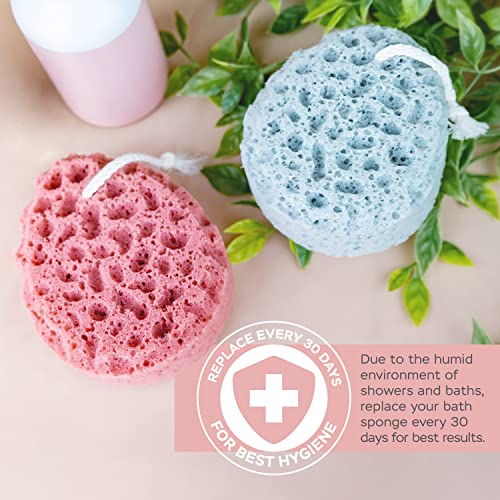Sunlite Sports BODY SPONGE NATURAL COLORS (2 PIECES) Spongentle Deep Cleansing Body Loofah Sponge thumb #5