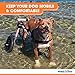 Walkin' Wheels Dog Wheelchair - for Large Dogs 70-180 Pounds - Veterinarian Approved - Dog Wheelchair for Back Legs