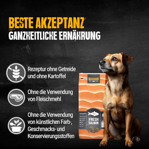 BELCANDO MASTERCRAFT Hundefutter trocken Fresh Salmon, 10kg, Trockenfutter für Hunde mit Lachs, 80% Frischfleisch, getreidefrei, für alle Rassen, Made in Germany