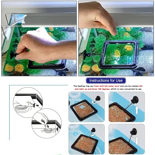 Image of 2pcs Feeding Fish Ring Set, Fish Food Feeder +Thermometer Strip, Tank Decor, Aquarium Tank Accessories for Floating Foods, for Betta, Guppy, Goldfish Etc