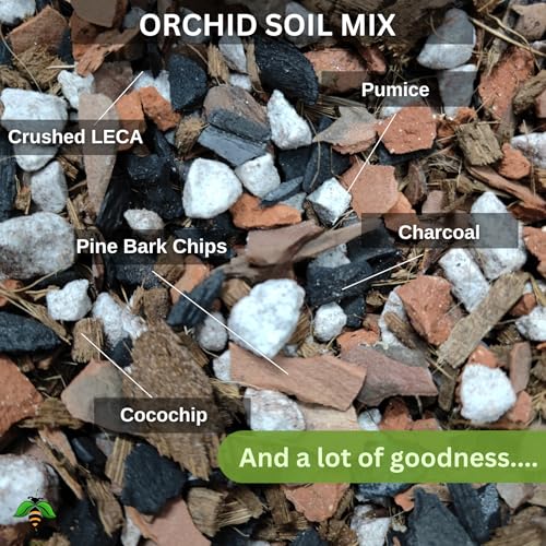 Image of Orchid Soil Mix (0.5KG), Chunkiest Potting, Ready to use Mixture, COMBO with Moss Grass, 100% Natural and Organic, Tall Shiny Orchids, Essential & Powerful (500 Grams + 25 Gm Moss Grass)