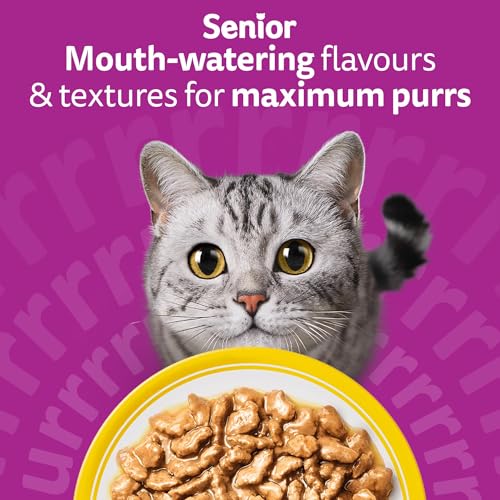 WHISKAS Senior 7+ Wet Cat Food in Gravy 12x85g Poultry Feasts (Pack of 4)