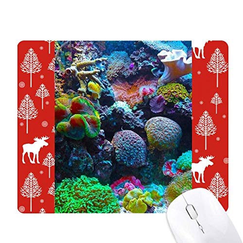 Tapis de souris Ocean coloré élan grand confort et glisse précise cerf
