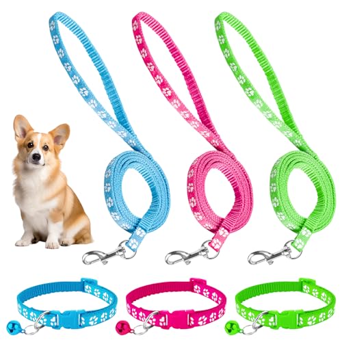 3 collari per cuccioli con guinzaglio, collare per cani e cani, accessori per cuccioli, collare regolabile in morbido nylon per animali domestici