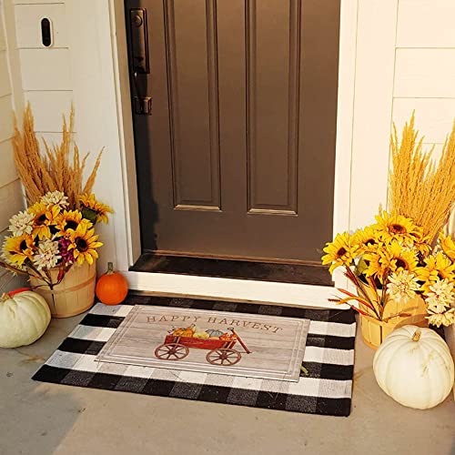 Ckorzen Cotton Buffalo Plaid Rug 28X43 Outdoor Black And White Check Rug Retro Lattice Checkered Rugs Reversible Woven Washable Front Porch Rugs For Layered Front Door Mats #TOP2
