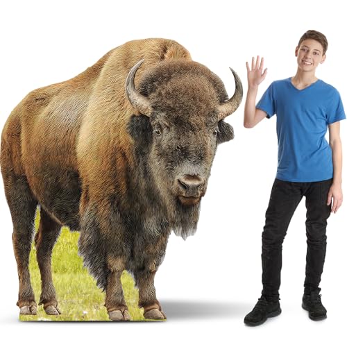 Image of Geelin 5ft Bison Cardboard Cutout Stand up Life Size Realistic Animal Cow Theme Party Decorations Safari Jungle Backdrop Photo Prop Stand up for Zoo Safari Jungle Themed Birthday Party Decor Supplies