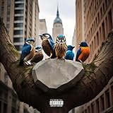 6 Birds And 1 Stone [Explicit]