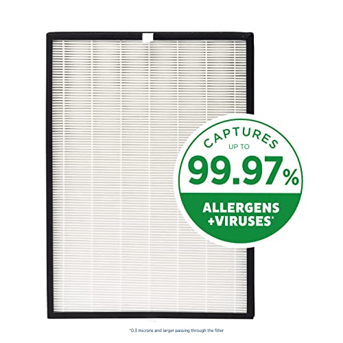 True HEPA Air Purifier for Allergies