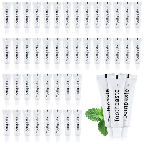 Best Biodegradable Toothpaste for Camping and Travel – Camping Reviews