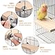 Sitzbrett Wellensittich, Vogelplattform, Holz Plattform für Haustiere, Papagei Plattform, Haustierkletterplattform, Hamster Plattfor, Vögel Vogelkäfig Zubehör, Wllensittich Spielzeug, 4Pcs
