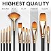 Complete Acrylic Paint Set – 24х Rich Pigment Colors – 12x Art Brushes with Bonus Paint Art Knife & Sponge – for Painting Canvas, Clay, Ceramic & Crafts, Non-Toxic & Quick Dry – for Kids & Adults