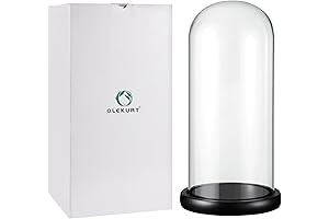 Elegant Glass and Wood Display Dome