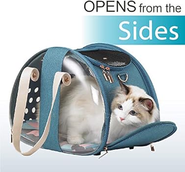 cat carrier alternative