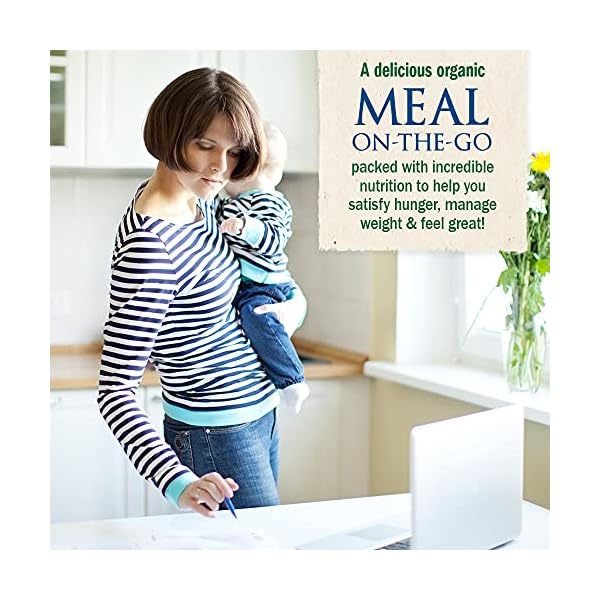 Garden-of-Life-Raw-Organic-Meal-Replacement-Powder-14-Servings-20g-Plant-Based-Protein-Powder-Vanilla Garden of Life Vegan Protein Powder - Raw Organic Meal Replacement Shakes - Vanilla - Pea Protein, Greens and Probiotics for Women and Men, Plant Based Dairy Free All in One Shake, 14 Servings