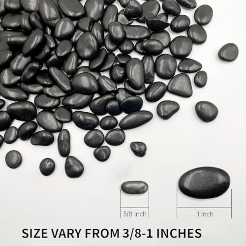 Image of RITOLLO 2.5lb Black Pebble Rocks 3 /8-1 Inch Polished Natural Aquarium Gravel Decorative Fish Tank Rocks Garden Landscaping Decor