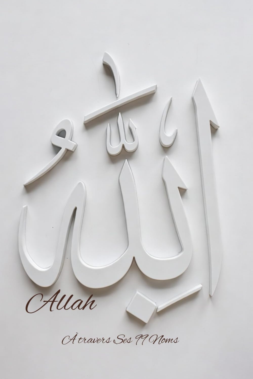 ALLAH À travers Ses 99 Noms: Un chemin intérieur à travers les Noms divins