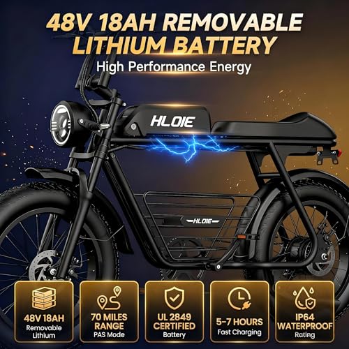 HLOIE 1500W All-Terrain E-Bike