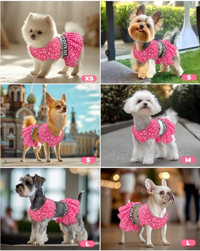 Image of CuteBone Two Piece Dog Sports Dress Athleisure Puppy Skirt Lightweight Small Dogs Girl Clothes Cat Apparel SPS14L