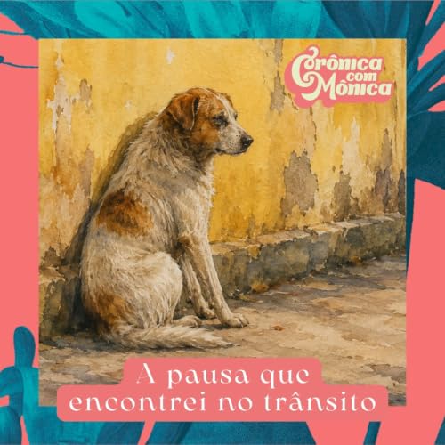 A pausa que encontrei no tr&acirc;nsito