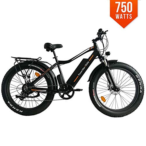 falcon electric bike