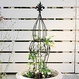 GOOOXIM Obelisk Metal Garden Trellis for Climbing Plants - 29.5 in by 6.3 in Durable Iron Structure, Easy Assembly, Perfect for Potted Vines & Roses - Modern Vertical Gardening Support