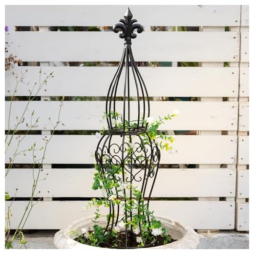 Best way to grow cucumbers in a greenhouse umbrella GOOOXIM Metal Garden Trellis for Plants