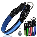 【Recargable por USB】 El collar de perro luminoso se puede cargar a través de la interfaz USB. Carga completa alrededor de 2 horas, puede funcionar durante 6-8 horas para un brillo constante. De día o de noche, llueva o truene, deja que tu perro salga de casa sin preocupaciones.